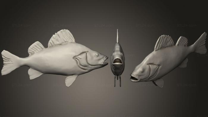 Статуэтки животных (Рыба Окунь, STKJ_1269) 3D модель для ЧПУ станка